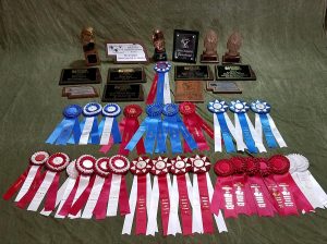 photo of 2018 awards earned