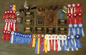 photo of 2017 awards earned