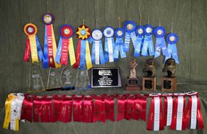 photo of awards won