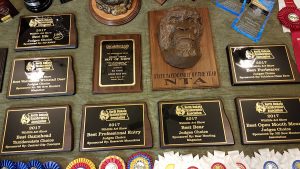photo of 2017 awards earned