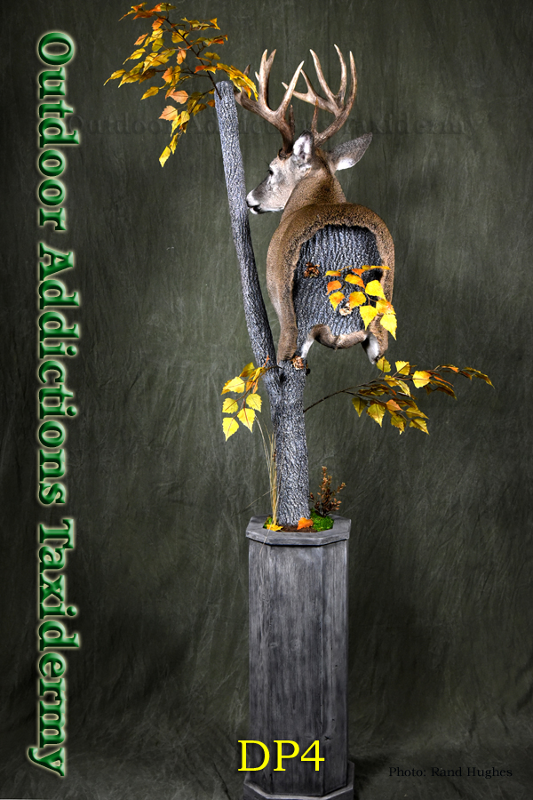 Outdoor Addictions Taxidermy
