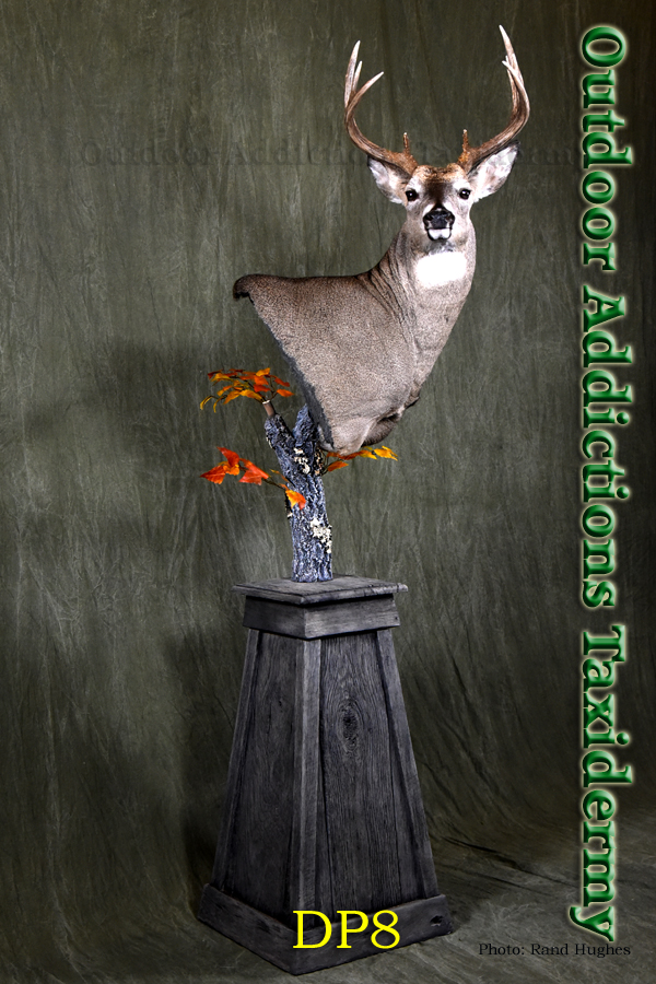 Outdoor Addictions Taxidermy