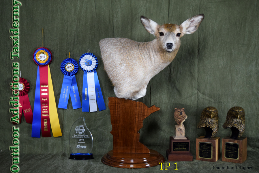Outdoor Addictions Taxidermy